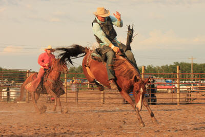 Saddle Bronc