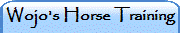 Wojo's Horse Training